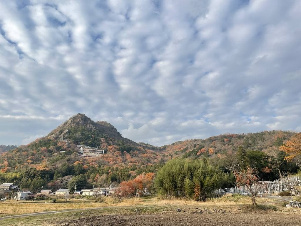 太郎坊山の自然